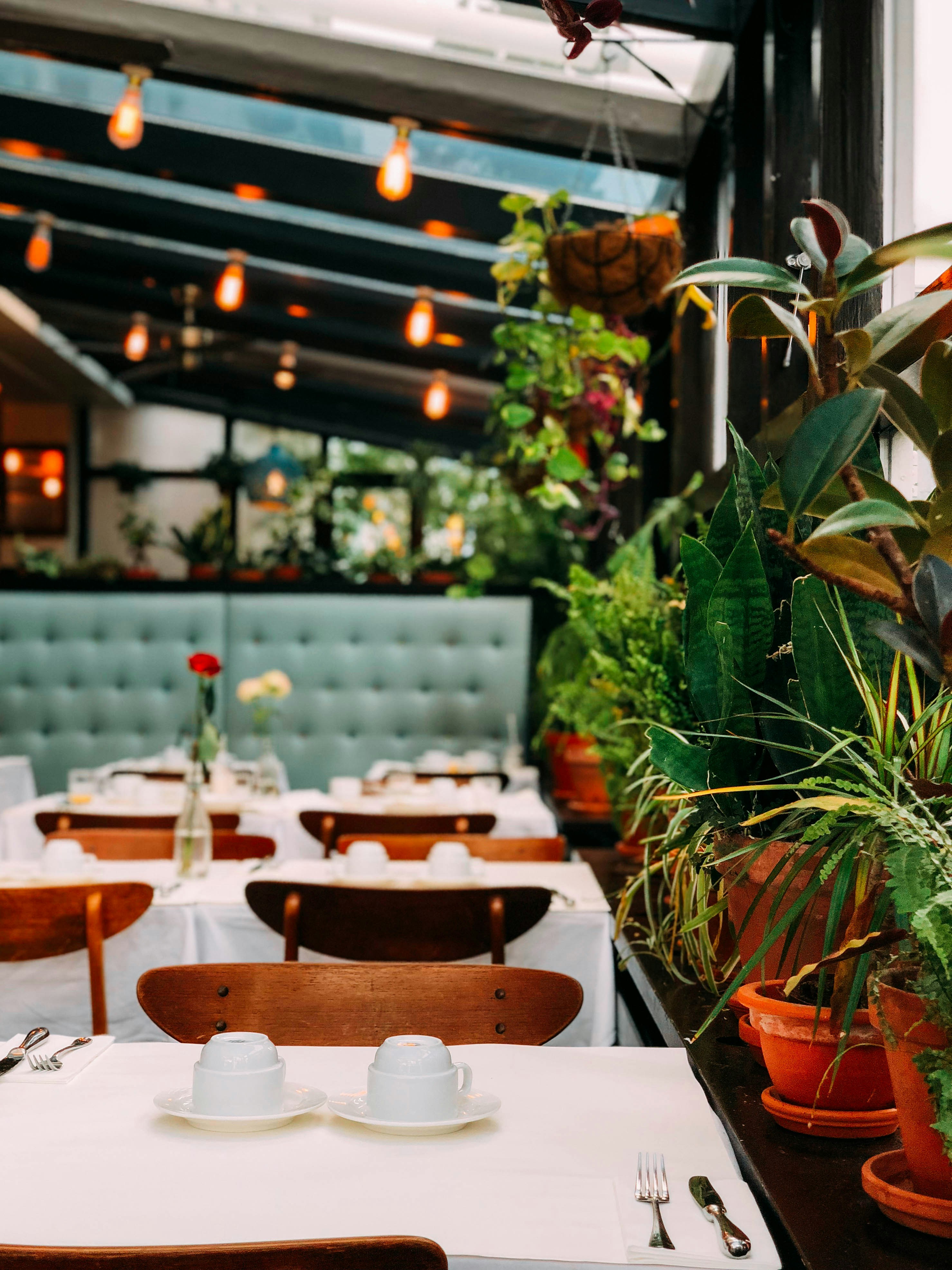 Restaurant TikTok : comment les vidéos virales transforment la popularité des restaurants