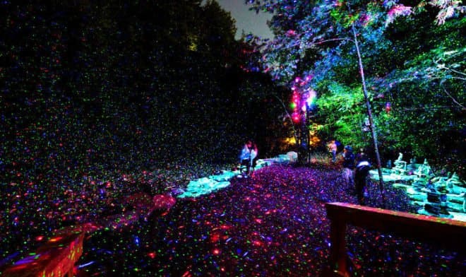 Photo du parcours nocturne immersif de Foresta Lumina